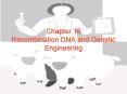 Chapter 16 Recombination DNA and Genetic Engineering PowerPoint PPT Presentation