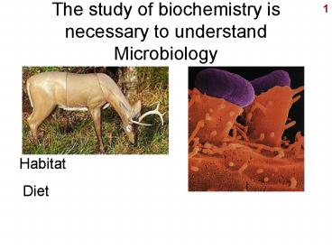 The study of biochemistry is necessary to understand Microbiology
