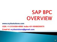 SAP BPC OVERVIEW | SRYIT SOLUTIONS