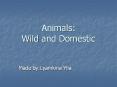 Animals: Wild and Domestic PowerPoint PPT Presentation
