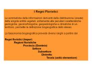 Presentazione di PowerPoint