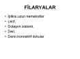 FILARYALAR PowerPoint PPT Presentation