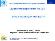Capacity Development for the CDM