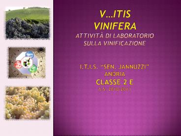 presentation player overlay