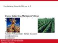 Crop Marketing Outlook for 2009 and 2010 PowerPoint PPT Presentation