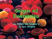 Blood cells