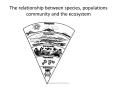 The relationship between species, populations community and the ecosystem PowerPoint PPT Presentation