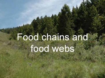 Food chains and food webs