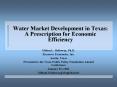 Water Market Development in Texas: A Prescription for Economic Efficiency PowerPoint PPT Presentation