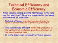 Technical Efficiency and Economic Efficiency PowerPoint PPT Presentation