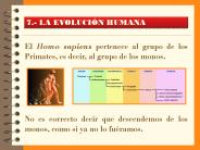 EL PROFESOR VIRTUAL