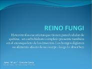REINO FUNGI