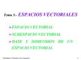 Tema 5.- ESPACIOS VECTORIALES PowerPoint PPT Presentation