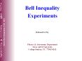 Bell Inequality PowerPoint PPT Presentation