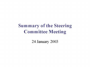 Summary of the Steering Committee Meeting