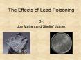 The Effects of Lead Poisoning PowerPoint PPT Presentation