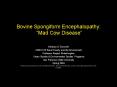 Bovine Spongiform Encephalopathy:  PowerPoint PPT Presentation