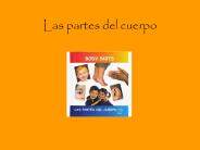 Las partes del cuerpo