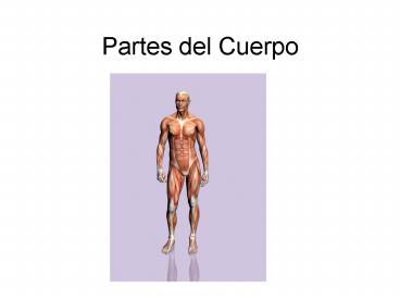 Partes del Cuerpo