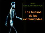 Diapositiva 1