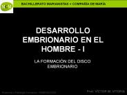 DESARROLLO EMBRIONARIO EN EL HOMBRE - I