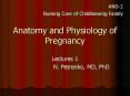Anatomy and Physiology of Pregnancy PowerPoint PPT Presentation