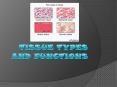 Tissue Types and Functions PowerPoint PPT Presentation