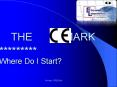 THE     MARK PowerPoint PPT Presentation