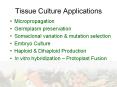 Tissue Culture Applications PowerPoint PPT Presentation