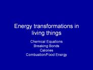 Energy%20transformations%20in%20living%20things