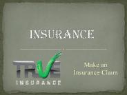 Handbag Insurance
