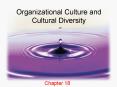 Organizational Culture and Cultural Diversity PowerPoint PPT Presentation