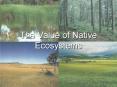 The Value of Native Ecosystems PowerPoint PPT Presentation