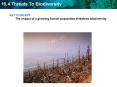 KEY CONCEPT The impact of a growing human population threatens biodiversity. PowerPoint PPT Presentation