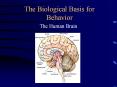 The Biological Basis for Behavior PowerPoint PPT Presentation