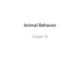 Animal Behavior PowerPoint PPT Presentation