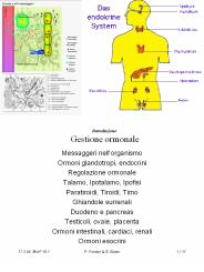 Introduzione: Gestione ormonale