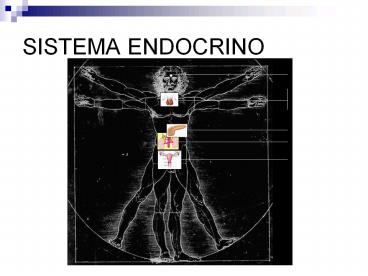 SISTEMA ENDOCRINO