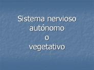 Sistema nervioso aut