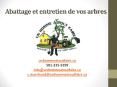 Abattage et entretien de vos arbres – Un homme à tout faire PowerPoint PPT Presentation