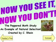 The Peppered Moth Study