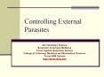 Controlling External Parasites PowerPoint PPT Presentation