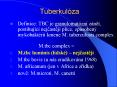 Tuberkul PowerPoint PPT Presentation