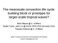 The mesoscale convection life cycle: building block or prototype for larger-scale tropical waves? PowerPoint PPT Presentation