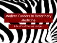 Modern Careers in Veterinary Medicine PowerPoint PPT Presentation