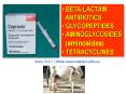 BETA-LACTAM PowerPoint PPT Presentation