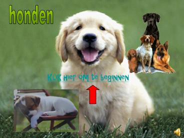 Klik hier om te beginnen