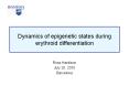 Dynamics of epigenetic states during erythroid differentiation PowerPoint PPT Presentation