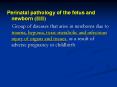 Perinatal pathology of the fetus and newborn (??) PowerPoint PPT Presentation