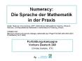 Numeracy: Die Sprache der Mathematik in der Praxis PowerPoint PPT Presentation